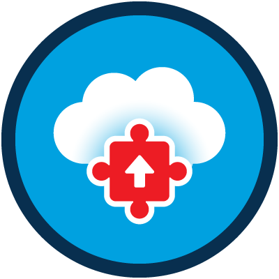 Salesforce Org Implementation Icon